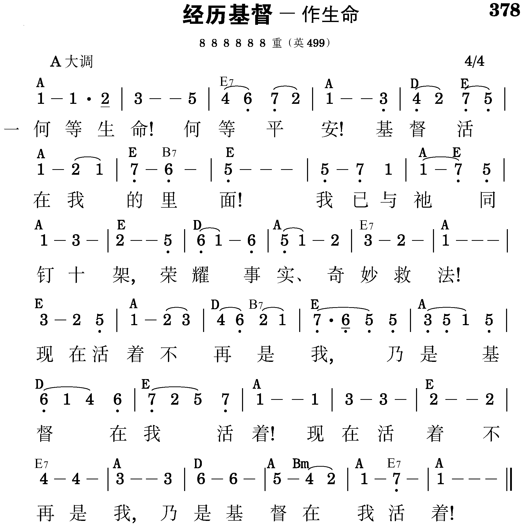 第七周诗歌